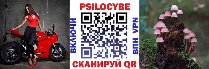 Псилоцибиновые грибы мухоморы  Купить где  Новая Ляля 