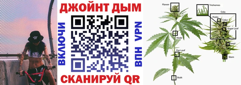 Купить где  Новая Ляля  Бошки марихуана ГИДРОПОН 